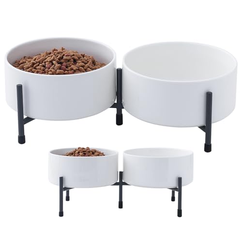 Erhöhter Hundenapf mit verstellbarem Metallständer, 15,2 cm, erhöhter Keramik-Hundenapf für Futter und Wassernapf, Doppel-Futternapf für kleine und mittelgroße Rassen, Weiß, 2 Stück Erhöhter Hundenapf mit verstellbarem Metallständer, 15,2 cm, erhöhter Keramik-Hundenapf für Futter und Wassernapf, Doppel-Futternapf für kleine und mittelgroße Rassen, Weiß, 2 Stück von HANJION