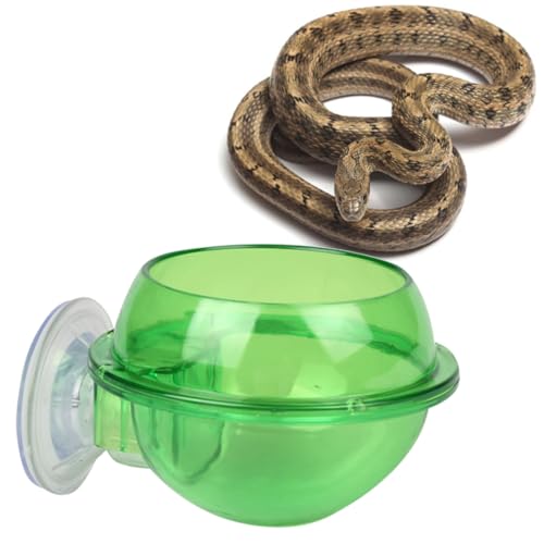 HAPINARY Reptilien-wassernapf Eidechsen-futterspender Für Futter Und Wasser Haustier-trinkschüssel Für Schildkröten HAPINARY Reptilien-wassernapf Eidechsen-futterspender Für Futter Und Wasser Haustier-trinkschüssel Für Schildkröten von HAPINARY