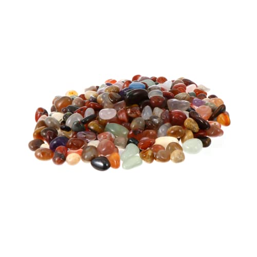 HAPINARY 1 Packung 500 G Kieselsteine Kies Landschaftsgestaltung Steindekor Flusssteine Für Garten Aquarium Pflanzen Sukkulenten HAPINARY 1 Packung 500 G Kieselsteine Kies Landschaftsgestaltung Steindekor Flusssteine Für Garten Aquarium Pflanzen Sukkulenten von HAPINARY