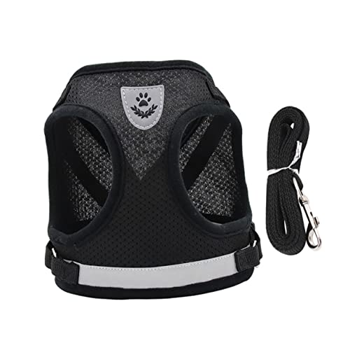 HAPINARY 1satz Hundegeschirr Und Leine Für Kleine Hunde Verstellbares Reflektierendes Geschirr Mit Langer Leine Für Optimale Kontrolle Und Bei Nacht Für Welpen Und Aktive Haustiere HAPINARY 1satz Hundegeschirr Und Leine Für Kleine Hunde Verstellbares Reflektierendes Geschirr Mit Langer Leine Für Optimale Kontrolle Und Bei Nacht Für Welpen Und Aktive Haustiere von HAPINARY