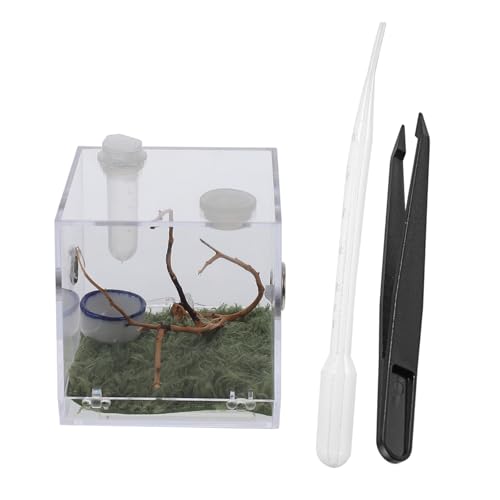 HAPINARY 1 Satz Springspinnen-Zuchtbox Gecko-Zubehör Bug-Viewer-Jar Schneckenbecken Spinnenhaus insektenhäuser Mini Terrarium Tier Mini-Luftbefeuchter Insektenhaus Insekten Lebensraum Acryl HAPINARY 1 Satz Springspinnen-Zuchtbox Gecko-Zubehör Bug-Viewer-Jar Schneckenbecken Spinnenhaus insektenhäuser Mini Terrarium Tier Mini-Luftbefeuchter Insektenhaus Insekten Lebensraum Acryl von HAPINARY