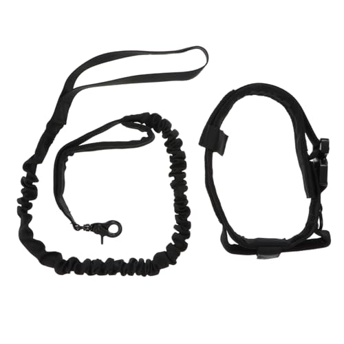 HAPINARY Halsband Leine Hund Satz Mit Verstellbarem Nylon-hundehalsband Bequemer Anpassung Und Einfacher Reinigung Robust Und Langlebig von HAPINARY