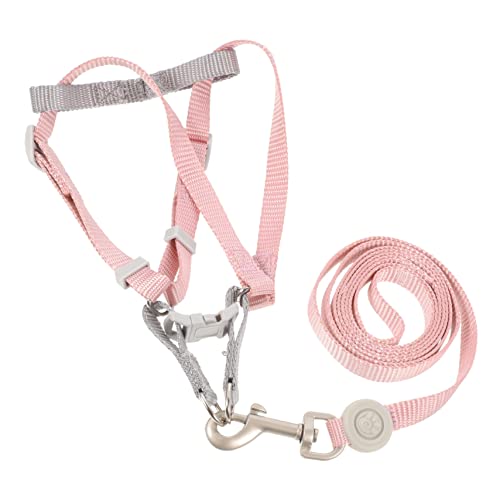 HAPINARY Hundegeschirr Und Leine Für Kleine Hunde Welpengeschirr Ausbruchssicher Geschirr Für Welpentraining Hundeleine Draußen Verwendbar HAPINARY Hundegeschirr Und Leine Für Kleine Hunde Welpengeschirr Ausbruchssicher Geschirr Für Welpentraining Hundeleine Draußen Verwendbar von HAPINARY