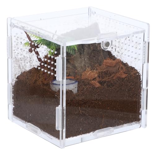 HAPINARY Aufzuchtbox Aus Kunststoff Für Springspinnen Insektenbox Mit Belüftungslöchern Transparenter Futterkasten Für Kleine Reptilien Und Spinnen Zuchtbehälter Für Insekten Und HAPINARY Aufzuchtbox Aus Kunststoff Für Springspinnen Insektenbox Mit Belüftungslöchern Transparenter Futterkasten Für Kleine Reptilien Und Spinnen Zuchtbehälter Für Insekten Und von HAPINARY