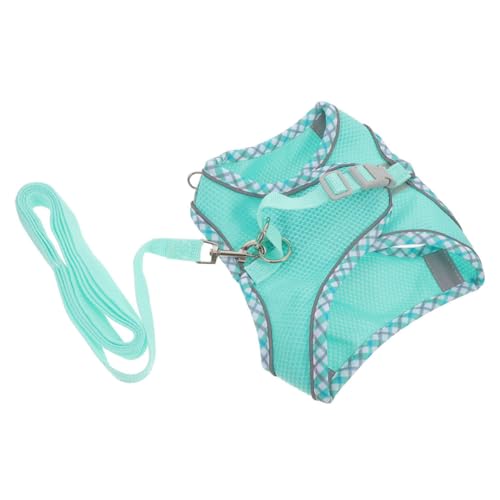 HAPINARY 1satz Hundegeschirr Set Für Kleine Hunde Verstellbar Und Reflektierend Für Und Training Farbe Grün XXS HAPINARY 1satz Hundegeschirr Set Für Kleine Hunde Verstellbar Und Reflektierend Für Und Training Farbe Grün XXS von HAPINARY