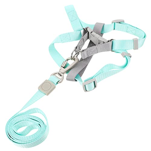 HAPINARY Hundegeschirr Und Leine-Set Ausbruchsicher Für Kleine Hunde Flexibles Design Zum Spazierengehen Leicht Und Bequem Tragbar Verstellbare Leine Mit Ausreichend Freiheit HAPINARY Hundegeschirr Und Leine-Set Ausbruchsicher Für Kleine Hunde Flexibles Design Zum Spazierengehen Leicht Und Bequem Tragbar Verstellbare Leine Mit Ausreichend Freiheit von HAPINARY