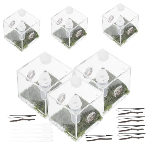 HAPINARY 10 Sets Praktische Fütterung Fall Spinne Gehäuse Box Acryl Spinne Terrarium Belüftung HAPINARY 10 Sets Praktische Fütterung Fall Spinne Gehäuse Box Acryl Spinne Terrarium Belüftung von HAPINARY