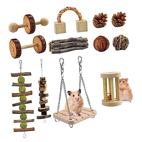 HAPINARY Zähneknirschen-Spielzeug Für Hamster – 12-teiliges Holzspielzeug-Set – Naturmaterial Sicher Für Kleintiere HAPINARY Zähneknirschen-Spielzeug Für Hamster – 12-teiliges Holzspielzeug-Set – Naturmaterial Sicher Für Kleintiere von HAPINARY