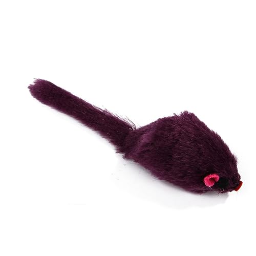 HAPINARY 12 Stück Plüschmaus Katzenspielzeug realistisches Rasselspielzeug waschbar für Ihr Haustier zufällige Farbe HAPINARY 12 Stück Plüschmaus Katzenspielzeug realistisches Rasselspielzeug waschbar für Ihr Haustier zufällige Farbe von HAPINARY