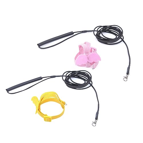 HAPINARY Trainingsseil Für Papageien Fliegende Vögel 2 M Elastische Traktion Für Outdoor-aktivitäten HAPINARY Trainingsseil Für Papageien Fliegende Vögel 2 M Elastische Traktion Für Outdoor-aktivitäten von HAPINARY