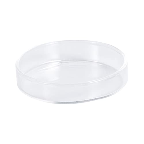 HAPINARY 1stück Transparentes Glas Futtergeschirr Für Garnelen Runde Futter-Schale Für Aquarien Zur Fütterung Von Fischen Und Reptilien Dekorativer Aquarienbedarf von HAPINARY