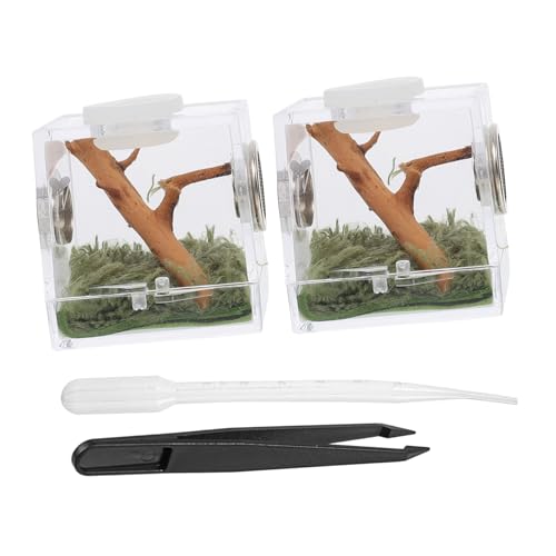 HAPINARY 2satz Jumping Spider Habitat Box Transparentes Terrarium Für Springende Spinnen Sichere Zuchtbox Mit Belüftungsloch Haustierhaltung Und Dekoration HAPINARY 2satz Jumping Spider Habitat Box Transparentes Terrarium Für Springende Spinnen Sichere Zuchtbox Mit Belüftungsloch Haustierhaltung Und Dekoration von HAPINARY