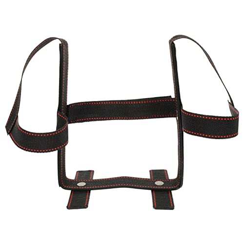 HAPINARY Hundeohren Kleber 2 Sets Haustier Ohraufrichter Dobermann Ohrstütze Standband Hund Feste Stütze Dobermann Pinscher Hunde Ohrstütze Hundeohr Stützband Hundeposting Ohr Stehstütze Welpe HAPINARY Hundeohren Kleber 2 Sets Haustier Ohraufrichter Dobermann Ohrstütze Standband Hund Feste Stütze Dobermann Pinscher Hunde Ohrstütze Hundeohr Stützband Hundeposting Ohr Stehstütze Welpe von HAPINARY