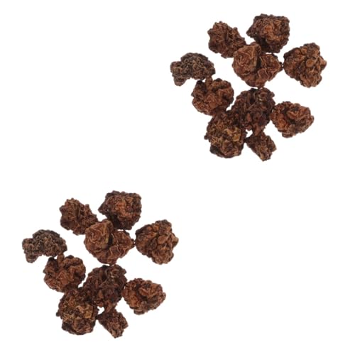HAPINARY 20 STK Kauball Für Haustiere Kauspielzeug Für Katzen Katzenminze Stick Katze Katzenminze Spielzeug Kauball Für Katzen Spielzeug Reinigen Pet-Ball-Spielzeug Reinigungsspielzeug HAPINARY 20 STK Kauball Für Haustiere Kauspielzeug Für Katzen Katzenminze Stick Katze Katzenminze Spielzeug Kauball Für Katzen Spielzeug Reinigen Pet-Ball-Spielzeug Reinigungsspielzeug von HAPINARY