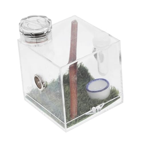 HAPINARY 2 Stück Box Spider Habitat Box Mini Für Springspinnen Tragbarer Zuchtträger Mit Futterbehälter Und Lampe von HAPINARY