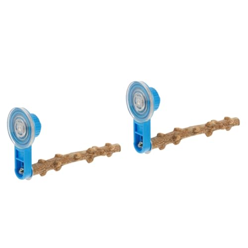 HAPINARY 2 Stücke Vogel Barsch Stehen Tasse Papagei Liefert Holz Barsch Übung Koordination Balance Spielzeug HAPINARY 2 Stücke Vogel Barsch Stehen Tasse Papagei Liefert Holz Barsch Übung Koordination Balance Spielzeug von HAPINARY