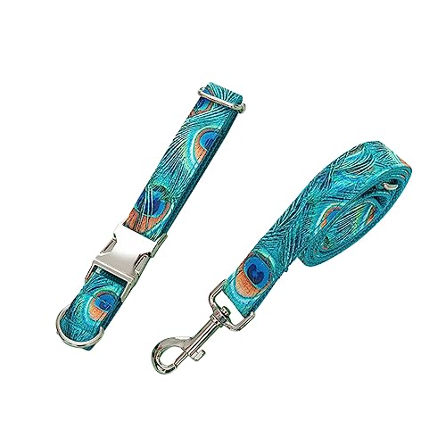 HAPINARY 2St hundegeschirr Gurt züchten Kette handhaben einziehbare Hundeleine Hundegeschirr für kleine Rassen pet Supplies haustierbedarf Haustier Hundegeschirr Leine Zugseil für Welpen HAPINARY 2St hundegeschirr Gurt züchten Kette handhaben einziehbare Hundeleine Hundegeschirr für kleine Rassen pet Supplies haustierbedarf Haustier Hundegeschirr Leine Zugseil für Welpen von HAPINARY