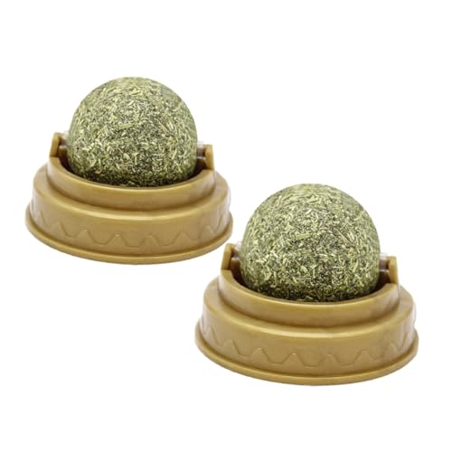 HAPINARY Katzenminze Leckerlies Minze Biss Für Katzen Katzensnacks Verdauungsförderer Haustier Snack Katzenleckball Haftend An Glatten Oberflächen HAPINARY Katzenminze Leckerlies Minze Biss Für Katzen Katzensnacks Verdauungsförderer Haustier Snack Katzenleckball Haftend An Glatten Oberflächen von HAPINARY