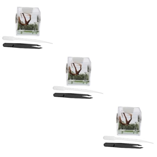 HAPINARY 3 Sets Springspinnengehege Stabiler Acryl-Spinnen-schlüpfbehälter Für Die Von Haustieren von HAPINARY