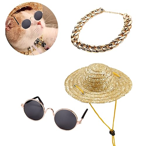 HAPINARY 3st Tierornament Katze Katzenbürste Hunde-Outfits Hundezubehör Hund Strohhut Haustier Hund Kostüm Hut Dackel Hund Hund Bucket Hat Hundeshampoo Ups Hundekostüm HAPINARY 3st Tierornament Katze Katzenbürste Hunde-Outfits Hundezubehör Hund Strohhut Haustier Hund Kostüm Hut Dackel Hund Hund Bucket Hat Hundeshampoo Ups Hundekostüm von HAPINARY