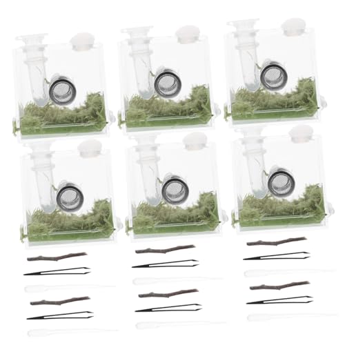 HAPINARY 4 Sets Robust Springen Spinne Gehäuse Set Acryl Reptil Zucht Box Feeder HAPINARY 4 Sets Robust Springen Spinne Gehäuse Set Acryl Reptil Zucht Box Feeder von HAPINARY