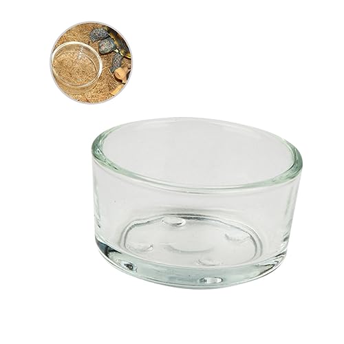 HAPINARY Reptilien-futterspender Wasser- Und Futternapf Futternapf-Set Aus Glas Für Reptilien Futtermittel Für Eidechsen von HAPINARY