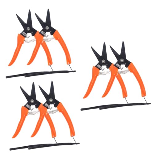 HAPINARY Wadendecke 6 STK Ziegenklauenschere Hund Trimmer Schermaschine Professional Kuhklauenschneider Rinder-Pferde-fußschere Gartenschere Besäumschere Astschere Pflanzenschere Rostfreier Stahl HAPINARY Wadendecke 6 STK Ziegenklauenschere Hund Trimmer Schermaschine Professional Kuhklauenschneider Rinder-Pferde-fußschere Gartenschere Besäumschere Astschere Pflanzenschere Rostfreier Stahl von HAPINARY