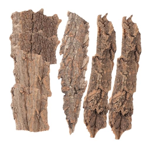 HAPINARY 8 Stück Reptilien Dekoration, Eidechsen Kletterbaumrinde, Kleines Terrarium, Baumrinden Hintergrund, Aquarium Rinden, Reptilienrinden Plattform, Reptilien Baumrinden, Terrarium von HAPINARY
