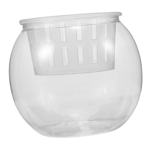 HAPINARY Aquarium Kunststoff Tragbar Für Fische Pflanzen Aquarium Hydrokultur Klein Transparent Fischzuchtbox HAPINARY Aquarium Kunststoff Tragbar Für Fische Pflanzen Aquarium Hydrokultur Klein Transparent Fischzuchtbox von HAPINARY