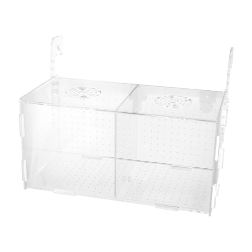 HAPINARY Guppy Fisch Inkubator Box Acryl Aquarium Zucht Isolation Schwimmende Abdeckung Für Sicheres Schlüpfen von HAPINARY
