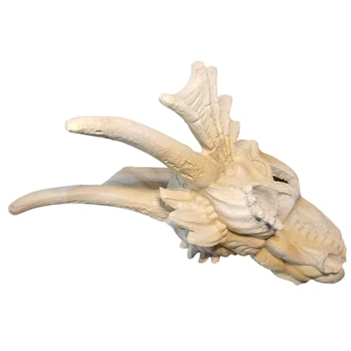 HAPINARY Drachendekor, Unterwasserdekor, Künstliches Drachenskelettmodell, Fischversteck, Aquariumversteck, Aquariumzubehör, Aquariumdekoration, Aquarium Ornament, Aquarium Hausdekor HAPINARY Drachendekor, Unterwasserdekor, Künstliches Drachenskelettmodell, Fischversteck, Aquariumversteck, Aquariumzubehör, Aquariumdekoration, Aquarium Ornament, Aquarium Hausdekor von HAPINARY