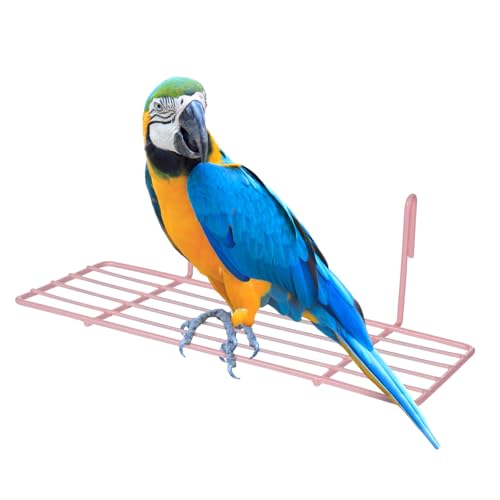 HAPINARY 1stück Eisenrahmen Hängeregal Für Vögel Einfaches Wanddekor Für Papageien Und Kleintiere Praktisches Und Stabiles Regal Zur Aufbewahrung Und Präsentation Von Kleinigkeiten von HAPINARY