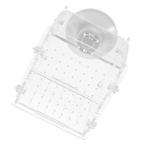 HAPINARY Fischzuchtbox aus mit Saugnapf Isolierende Babyfisch Aufzuchtbox Robuste Aquarium Trennwand für Erhöhte Überlebensrate Sichtbarer Fischbehälter HAPINARY Fischzuchtbox aus mit Saugnapf Isolierende Babyfisch Aufzuchtbox Robuste Aquarium Trennwand für Erhöhte Überlebensrate Sichtbarer Fischbehälter von HAPINARY