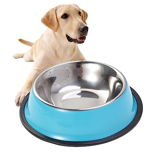 HAPINARY Edelstahl-futternapf Geruchshemmend Hundefutternapf Rutschfester Boden 18 cm Für Welpen Hunde Und Katzen HAPINARY Edelstahl-futternapf Geruchshemmend Hundefutternapf Rutschfester Boden 18 cm Für Welpen Hunde Und Katzen von HAPINARY