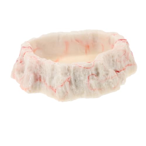 HAPINARY Reptilien Futter Und Wasserschale Aus Resin Naturstein-Design Für Schildkröten Geckos Und Bartagamen Robuste Und Dekorative Futterschale Für Terrarien HAPINARY Reptilien Futter Und Wasserschale Aus Resin Naturstein-Design Für Schildkröten Geckos Und Bartagamen Robuste Und Dekorative Futterschale Für Terrarien von HAPINARY