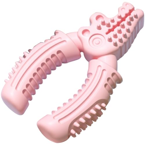 HAPINARY Kauspielzeug Spielzeug für Welpen Backenzahnspielzeug für Hunde Welpen-Beißring-Spielzeug Welpenzahnbürste Kaubare Zahnbürste schönes kauen von HAPINARY