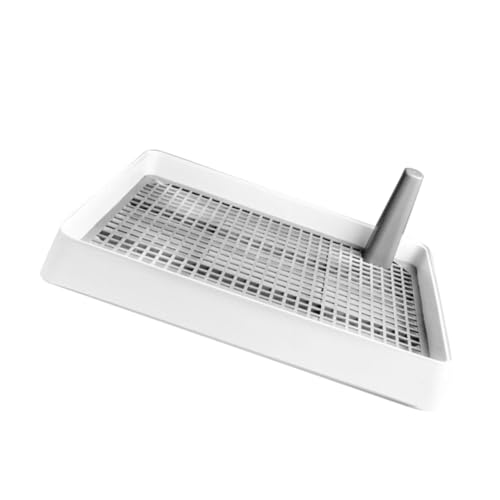 HAPINARY Hundetoilette mit Hohem Auslaufsicherer Welpentoiletten Tray Robustes Trainingszubehör für Kleine Hunde Hygienisch und Praktisch für Haushalt und Garten Weiß HAPINARY Hundetoilette mit Hohem Auslaufsicherer Welpentoiletten Tray Robustes Trainingszubehör für Kleine Hunde Hygienisch und Praktisch für Haushalt und Garten Weiß von HAPINARY