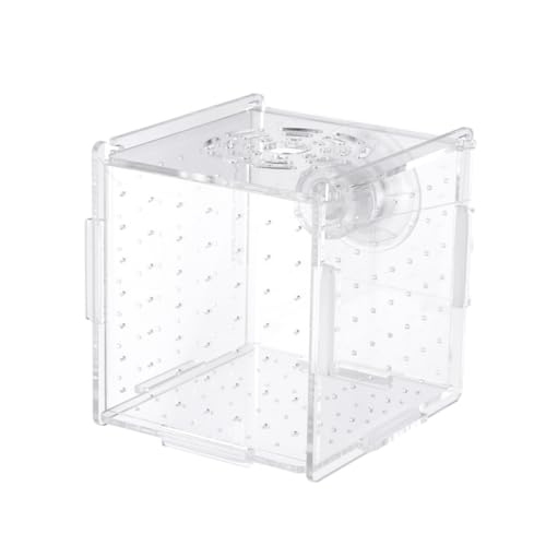 HAPINARY Brutkasten Aquarium Inkubator Doukyuusei Hatchamals Brutkästen Brutkasten Für Fische Halter Für Aquarien Zuchtbox Betta Fisch HAPINARY Brutkasten Aquarium Inkubator Doukyuusei Hatchamals Brutkästen Brutkasten Für Fische Halter Für Aquarien Zuchtbox Betta Fisch von HAPINARY