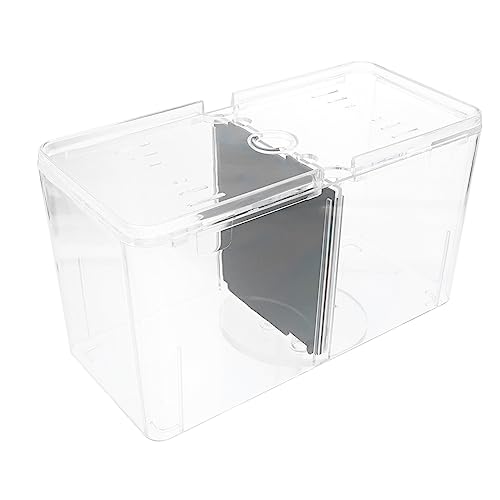 HAPINARY Multifunktionale Brutbox Für Fische Transparente Isolationsbox Mit Deckel Für Sicheres Aufzuchtbecken Im Aquarium Geeignet Für Einfache Beobachtung Und Fütterung Von HAPINARY Multifunktionale Brutbox Für Fische Transparente Isolationsbox Mit Deckel Für Sicheres Aufzuchtbecken Im Aquarium Geeignet Für Einfache Beobachtung Und Fütterung Von von HAPINARY