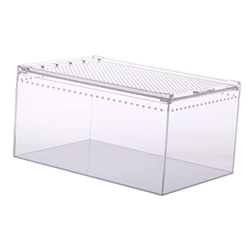 HAPINARY Kasten Krabbelbox Aus Acryl Tarantelgehege Tiere Aus Glas Kletternder Futterbehälter Für Haustiere Betta-Panzer Terrarium Reiseträger Für Reptilien Schnecken Reisen Betta Fisch von HAPINARY