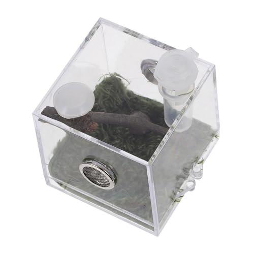 HAPINARY Kasten Springspinnen-zuchtbox Sprungspinnengehege Gehäuse Tank Reptilienhalterbox Transparente Spinnenbox Springspinnenfall Mini-luftbefeuchter Eidechsen Höhle Bodenkäfig Acryl von HAPINARY