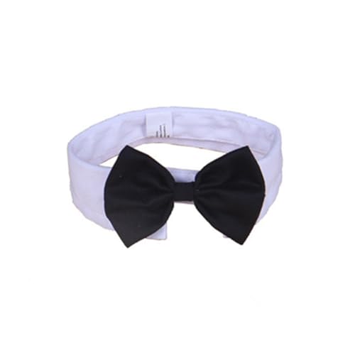 HAPINARY Hundehalsband Mit Fliege Katzenhalsband Fliege Halsband Für Welpen Größe L Verstellbarer Clip Stilvoll HAPINARY Hundehalsband Mit Fliege Katzenhalsband Fliege Halsband Für Welpen Größe L Verstellbarer Clip Stilvoll von HAPINARY