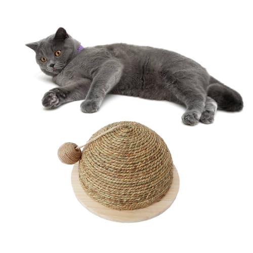 HAPINARY Katzen-kratzunterlage Klettergerüst Für Katzen Katzenkratzbrett Spielzeugbälle Für Katzen Spielzeug Für Haustiere Haustierzubehör Hölzern Abspielen Halbkreis von HAPINARY