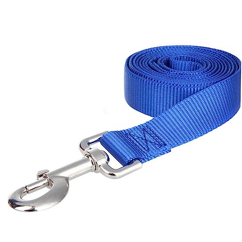 HAPINARY Safety Keilriemen Hundetraining Führen Für Haustiere Heimtiertraining Führen Für Hunde Verlängern Kettenblatt Safe Todsicher HAPINARY Safety Keilriemen Hundetraining Führen Für Haustiere Heimtiertraining Führen Für Hunde Verlängern Kettenblatt Safe Todsicher von HAPINARY