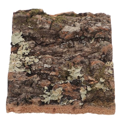 HAPINARY Korkrinde für Terrarien Dekoration Natürliche Klettermatte für Reptilien für Bartagamen und Geckos Bietet Kletterfläche und Verbesserte Habitatgestaltung von HAPINARY