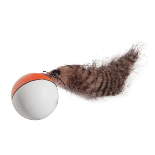 HAPINARY Motorisiertes Wasserspielzeug Ball für Katzen und Welpen Langlebiges Plastik Leicht Batteriebetrieben Zufällige Farben Fördert Spiel und Bindung mit Haustieren von HAPINARY
