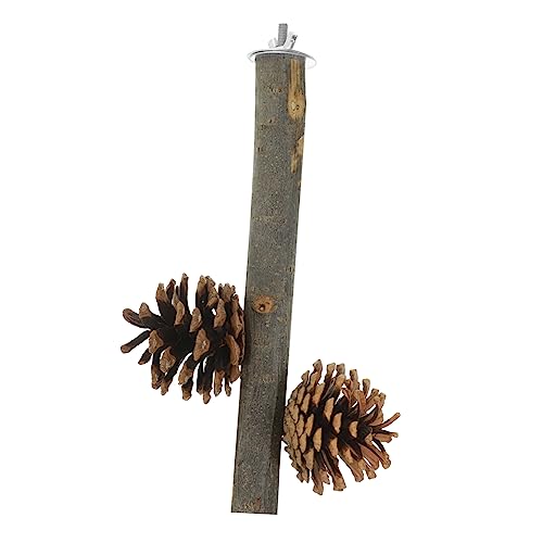 HAPINARY Holzscheibe Vogelstange Sitzstange Naturholz Für Vogelkäfig Zubehör Spielzeug Für Papageien Sittiche von HAPINARY