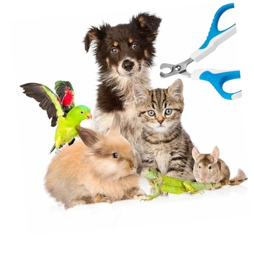 HAPINARY Hund nagelschneider Katze Hund Manikürezange Schermaschine für Kleintiere nagelhautzange Nagelknipser für Katzen Nagelknipser für Hunde Haustier Ellbogen HAPINARY Hund nagelschneider Katze Hund Manikürezange Schermaschine für Kleintiere nagelhautzange Nagelknipser für Katzen Nagelknipser für Hunde Haustier Ellbogen von HAPINARY