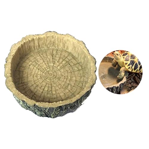 HAPINARY Reptilien Futterschale aus Harz Umweltfreundliche Futter und Wasserschüssel für Schildkröten Eidechsen Frösche Sicher und Leicht zu Reinigen HAPINARY Reptilien Futterschale aus Harz Umweltfreundliche Futter und Wasserschüssel für Schildkröten Eidechsen Frösche Sicher und Leicht zu Reinigen von HAPINARY