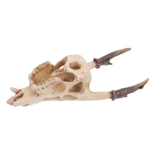 HAPINARY Reptilien-versteck Schädel aus Resin Mittelgroße Terrarium-höhle für Schlangen Eidechsen Schildkröten und Kriechtiere Sicher und Kompakt für Kleine bis Mittlere Haltung von HAPINARY